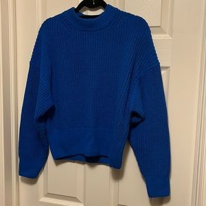 EVERLANE - blue, chunky knit, cotton crew neck sweater Size M; EUC